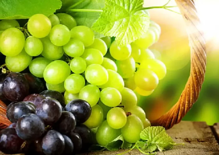 Benefits of Grapes