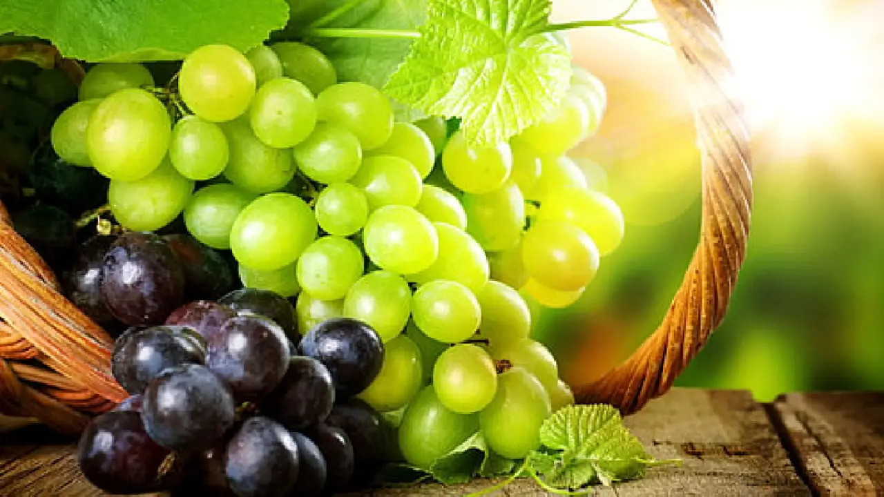 Benefits of Grapes