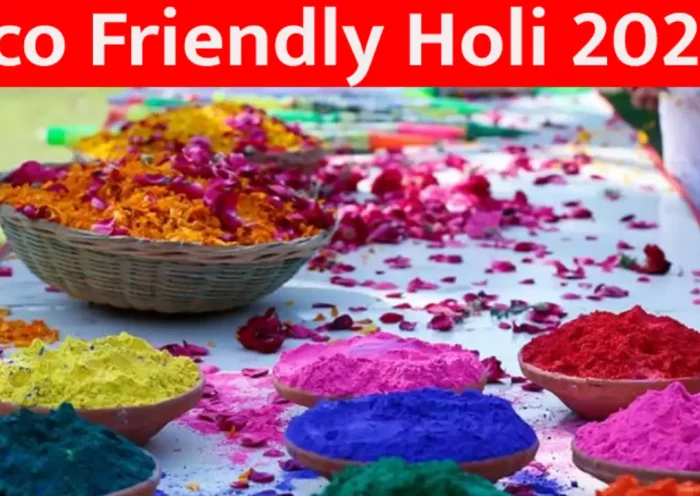 Eco Friendly Holi This time Holi will be played with gulal made of cow dung, special preparations going on in Jaipur for the festival