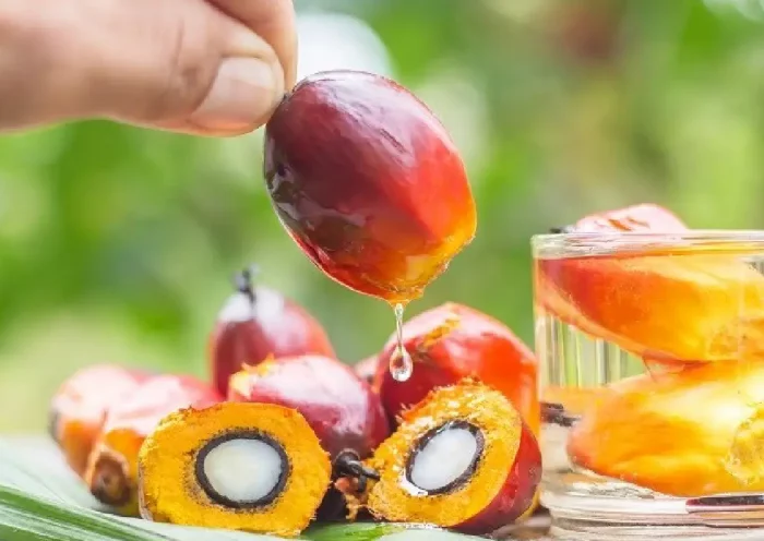 Palm Oil | Sach Bedhadak