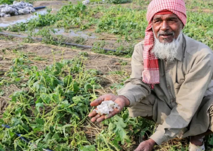 Hailstorm wreaks havoc on farmers in Rajasthan, alert issued for March 23-24