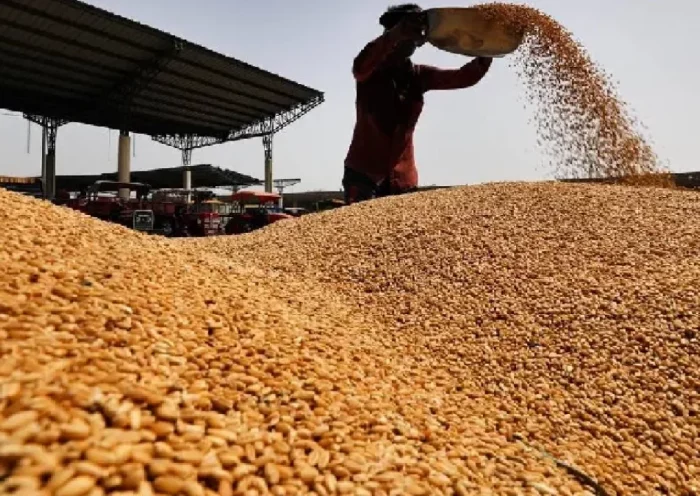 11.22 million tonnes of wheat production expected in india