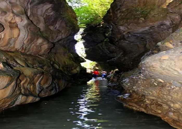 Guchu Pani cave is built amidst dense forests