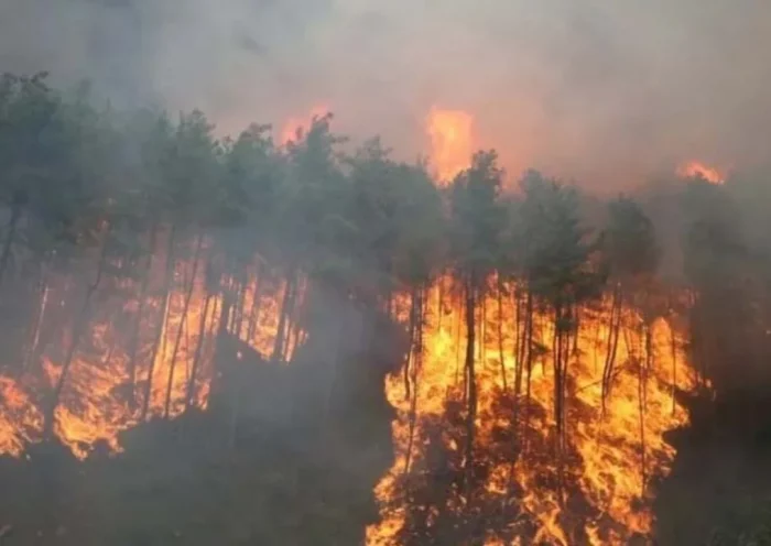 Fierce fire in the forests of South Korea, dozens of houses destroyed