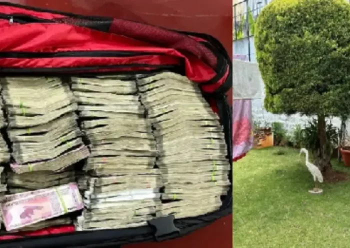 IT team raids in Karnataka, Rs 1 crore found on mango tree