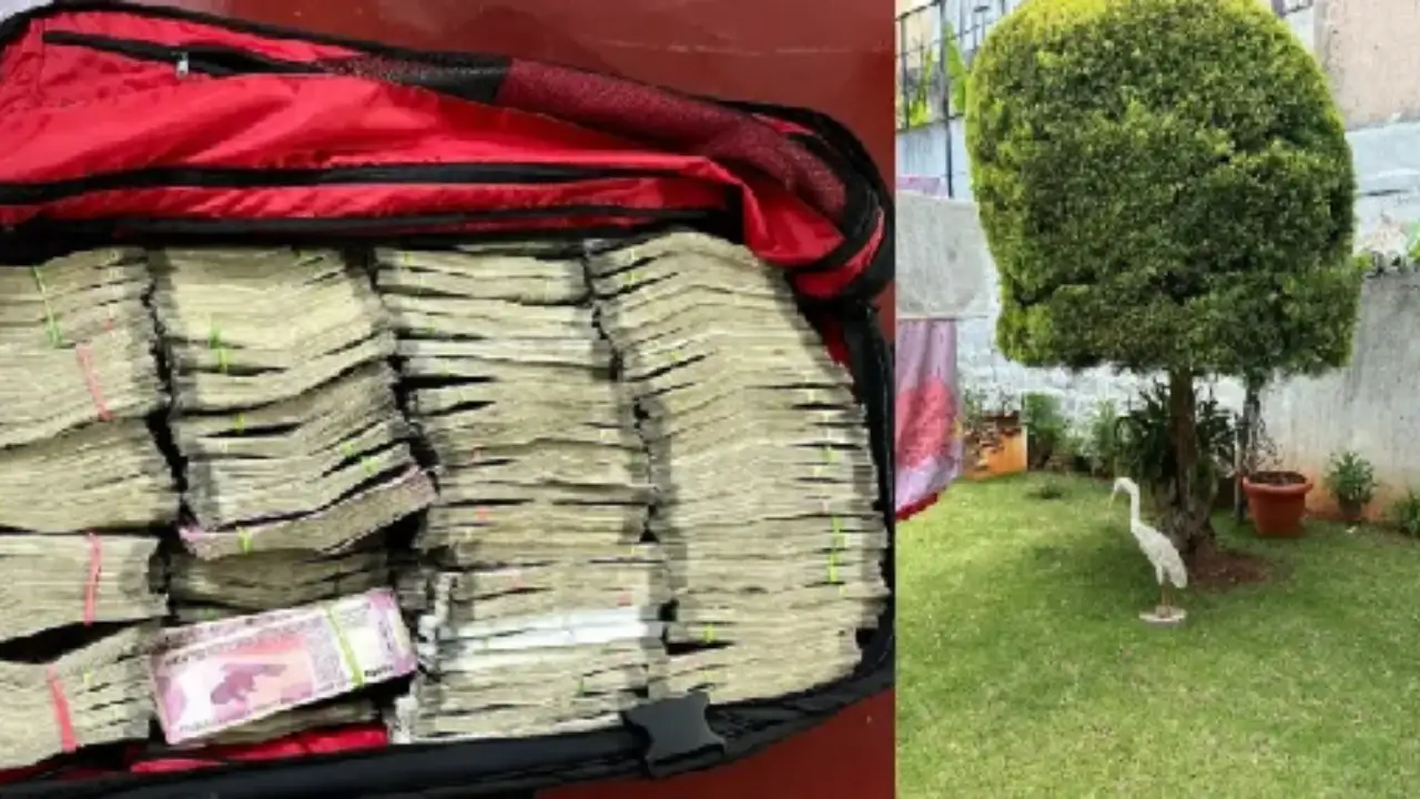 IT team raids in Karnataka, Rs 1 crore found on mango tree